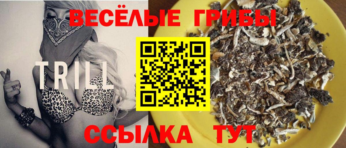 Псилоцибиновые грибы мухоморы  Псилоцибиновые грибы мицелий  Вход с VPN  Саратов 
